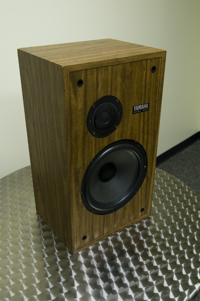 100 watt pa speakers